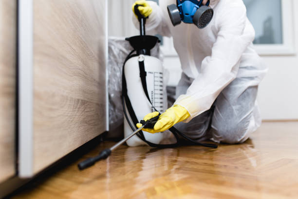 Flea Control Services in North Utica, IL