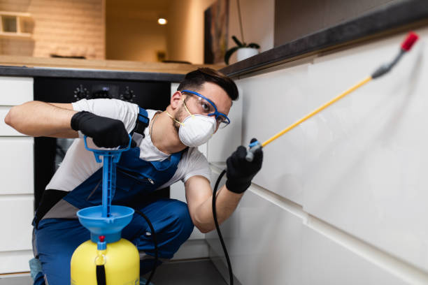 Best Pest Removal Services  in North Utica, IL