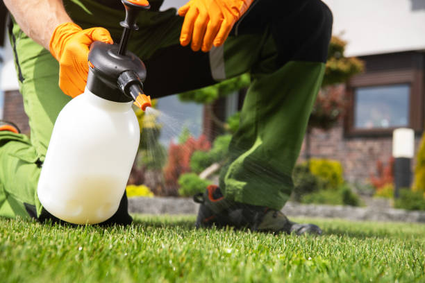 Reliable North Utica, IL Pest Control Solutions