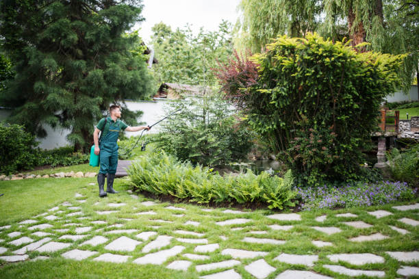 Best Pest Inspection Near Me  in North Utica, IL