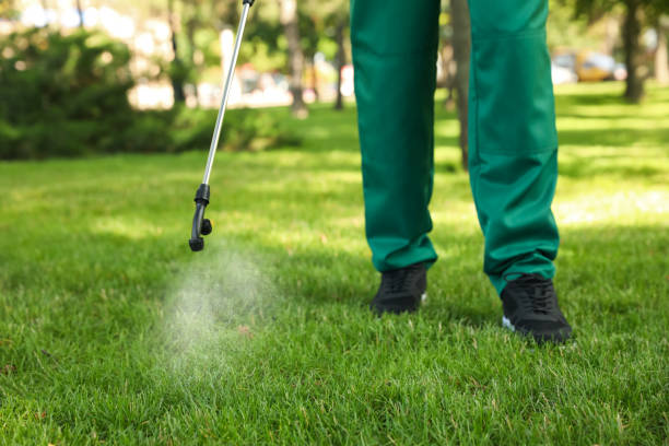 Best Local Pest Control Services  in North Utica, IL