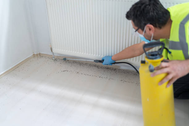 Trusted North Utica, IL Pest Control Experts